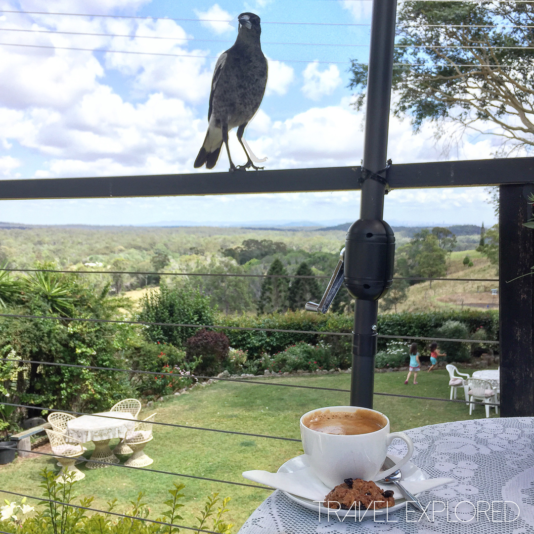 Coffee with a view